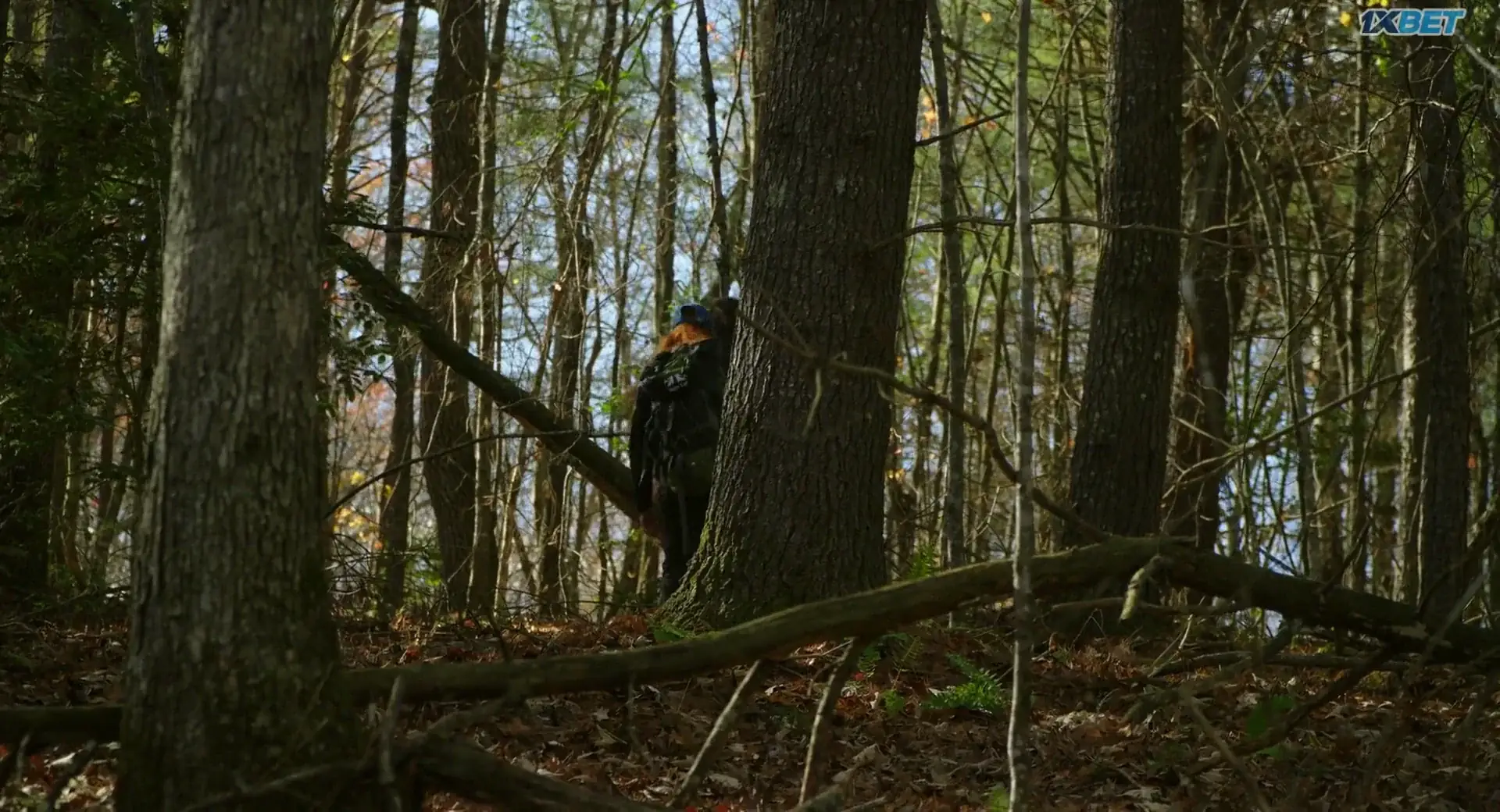 View The Hike (2022) — screenshot The Hike (2022) — screenshot