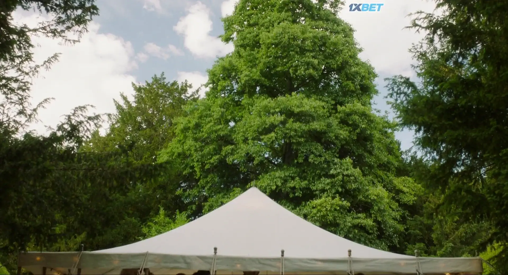 View My Mother's Wedding (2025) — screenshot My Mother's Wedding (2025) — screenshot