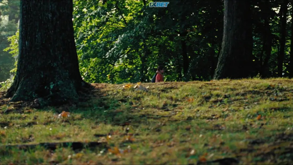 View The Wild Dreamers (2025) — screenshot The Wild Dreamers (2025) — screenshot