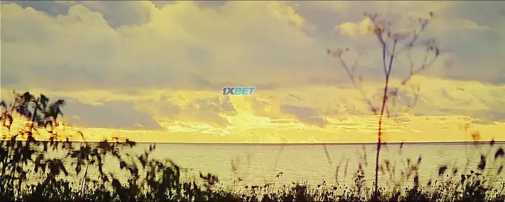 View Sisu: Road to Revenge (2024) — screenshot Sisu: Road to Revenge (2024) — screenshot