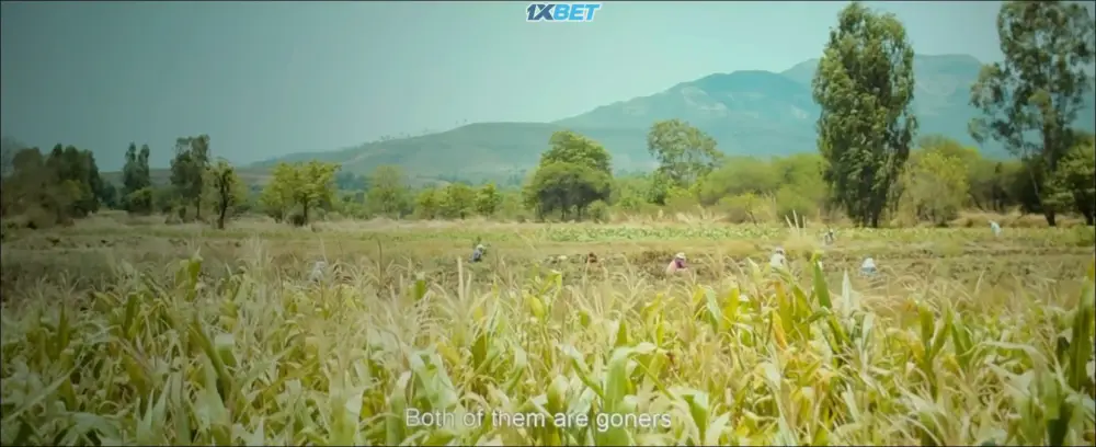 View Punha Shivaji raje Bhosale (2022) — screenshot Punha Shivaji raje Bhosale (2022) — screenshot