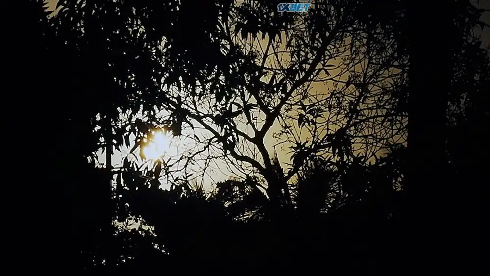 View #SalveRosa (2025) — screenshot #SalveRosa (2025) — screenshot