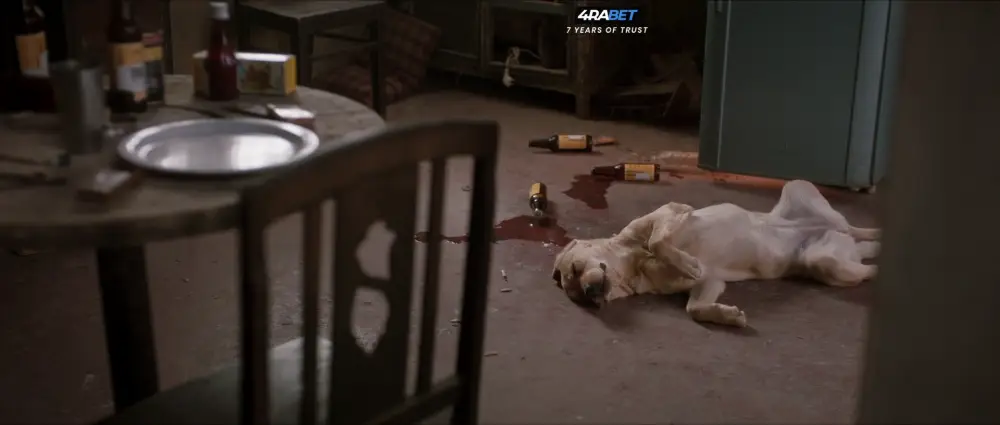 View 777 Charlie (2024) — screenshot 777 Charlie (2024) — screenshot