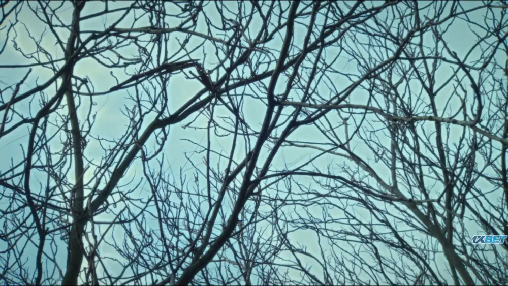 View Blood Barn (2025) — screenshot Blood Barn (2025) — screenshot