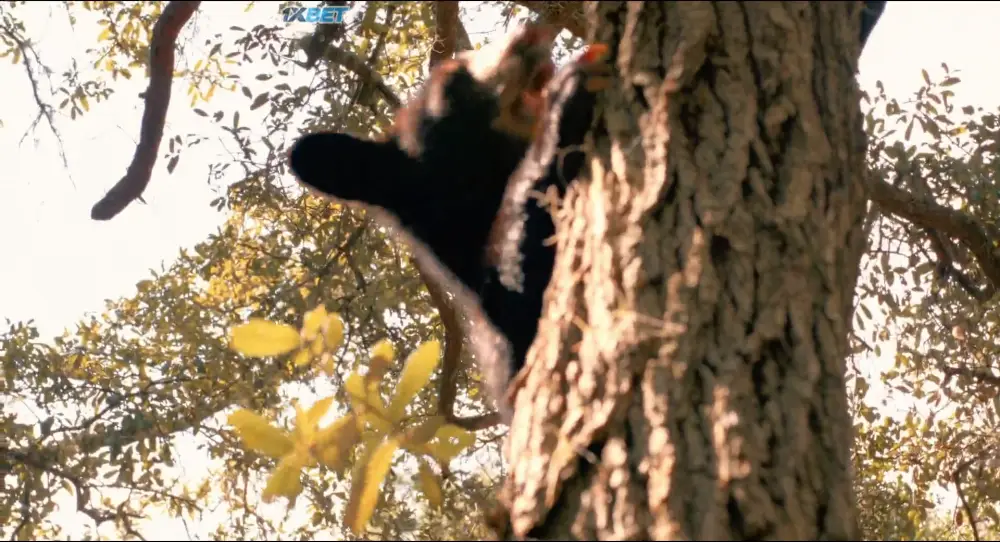 The Last Beautiful Thing (2025) — screenshot