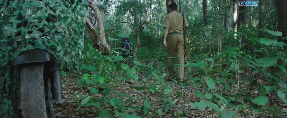 View Kaa - The Forest (2025) — screenshot Kaa - The Forest (2025) — screenshot