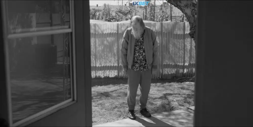 Burt (2022) — screenshot