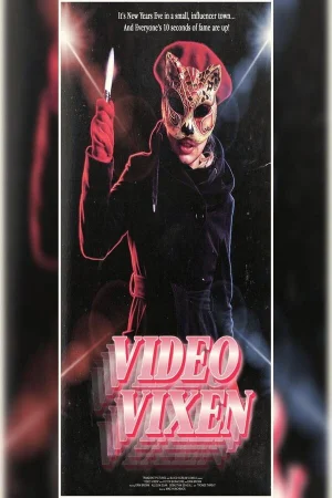 Video Vixen (2026) poster